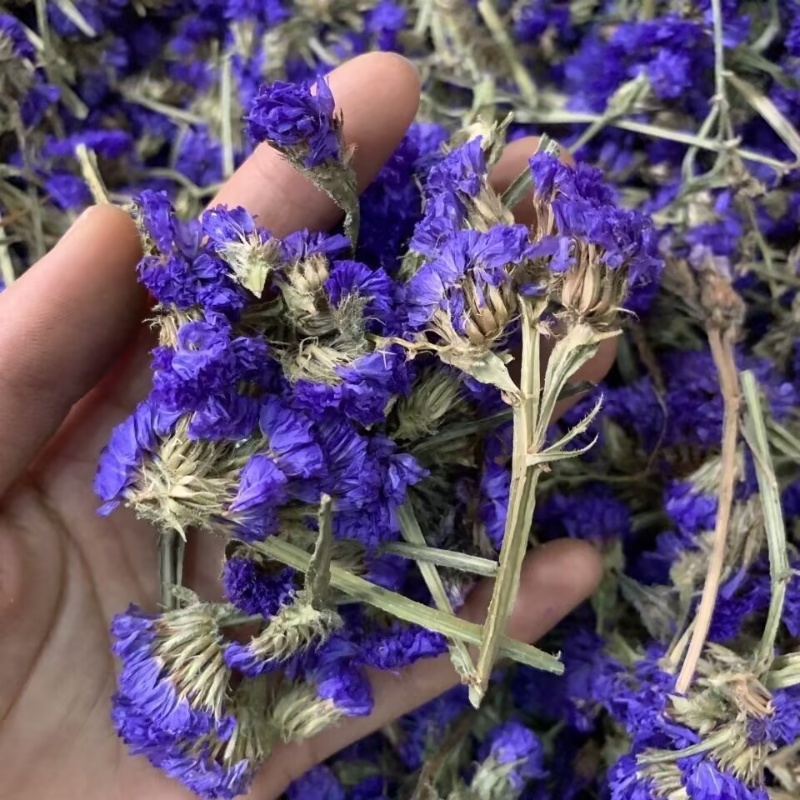 Top Natural Forget-me-not Drie - Soap Making Home のレビューと価格